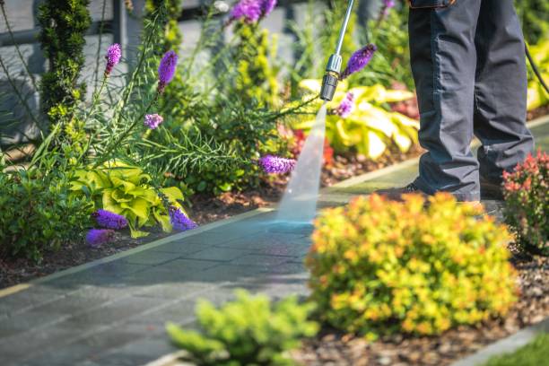 Best Post-Construction Pressure Washing  in Green Valley, CA
